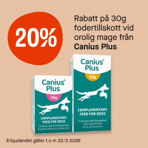 20% Canius Plus