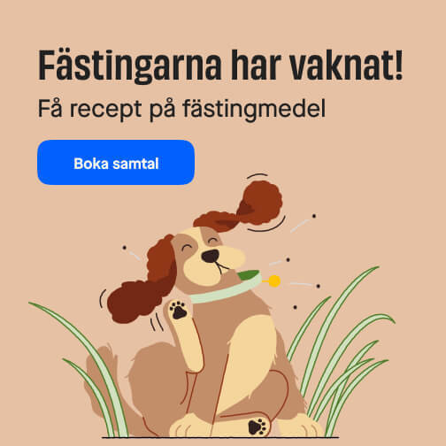 Fästingrecept liten