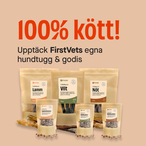 FIrstVets hundgodis