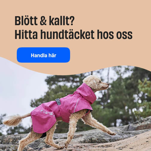 Täcken liten