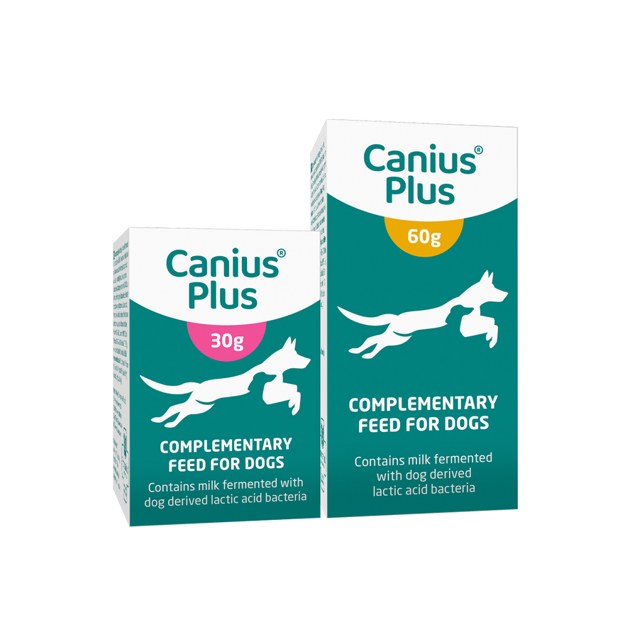 Canius Plus för obalans i hundens tarmflora