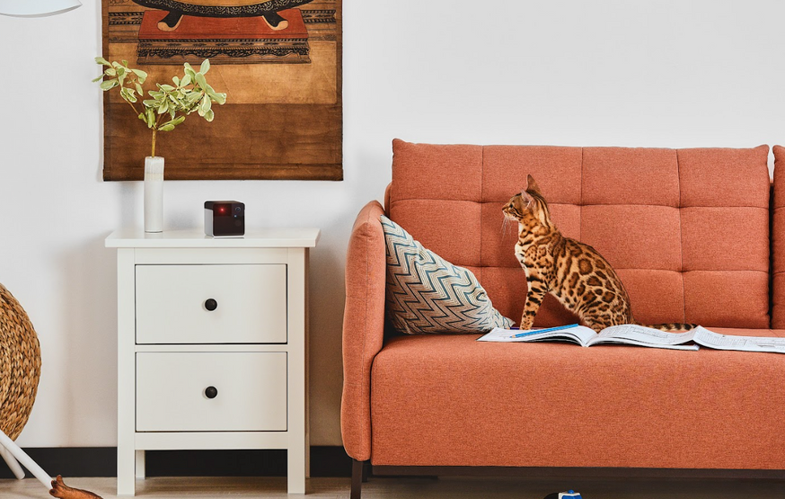 Play 2 Husdjurskamera